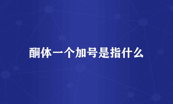酮体一个加号是指什么