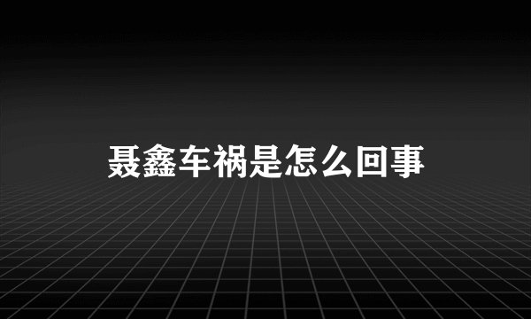 聂鑫车祸是怎么回事