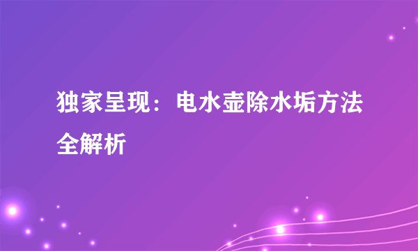 独家呈现：电水壶除水垢方法全解析