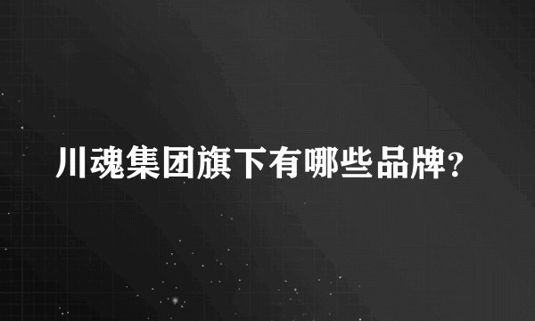 川魂集团旗下有哪些品牌？
