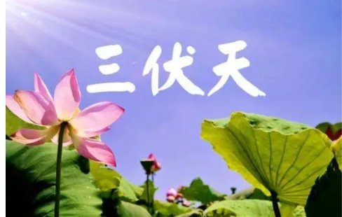 今天入伏了吗