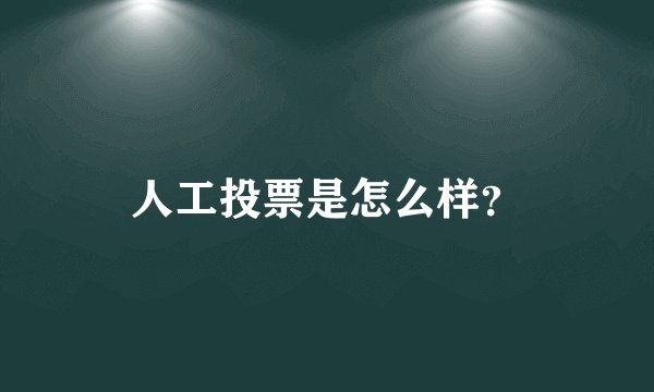人工投票是怎么样?