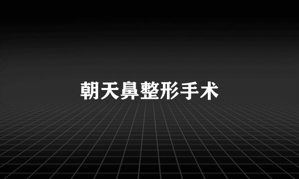 朝天鼻整形手术