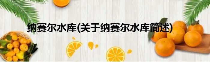 纳赛尔水库(关于纳赛尔水库简述)