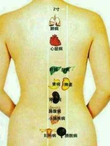 导龙入海是什么意思