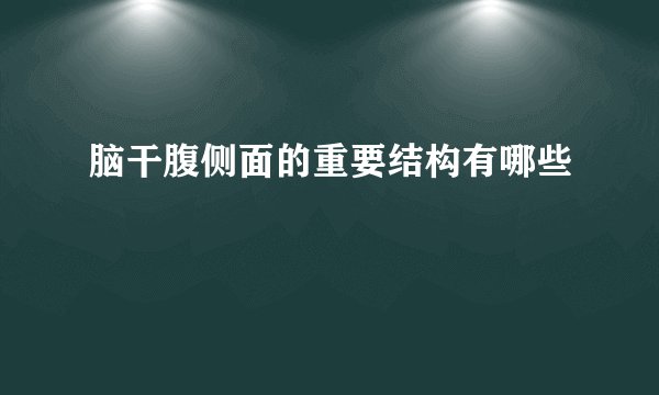 脑干腹侧面的重要结构有哪些