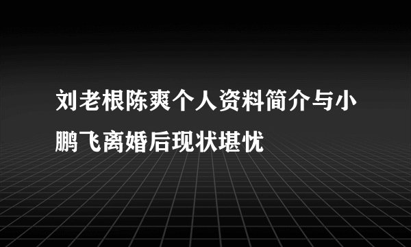 刘老根陈爽个人资料简介与小鹏飞离婚后现状堪忧