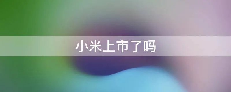 小米上市了吗
