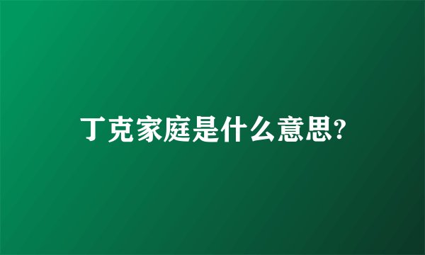 丁克家庭是什么意思?