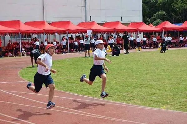 关于小学毕业的诗歌