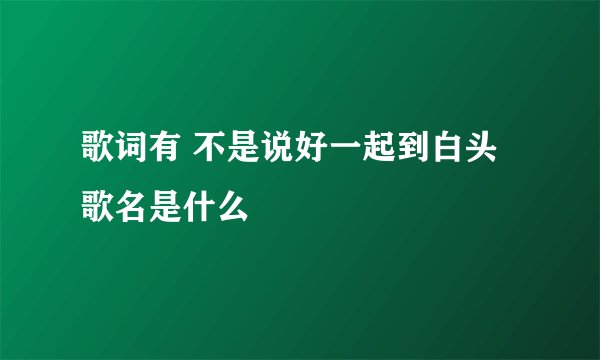 歌词有 不是说好一起到白头 歌名是什么