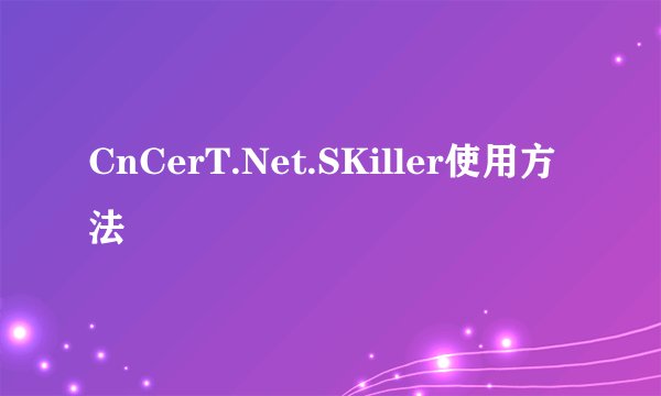 CnCerT.Net.SKiller使用方法