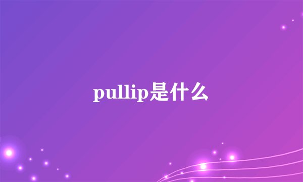 pullip是什么