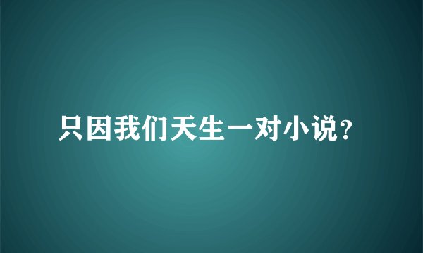 只因我们天生一对小说？