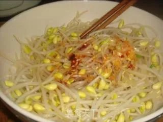 凉拌黄豆芽