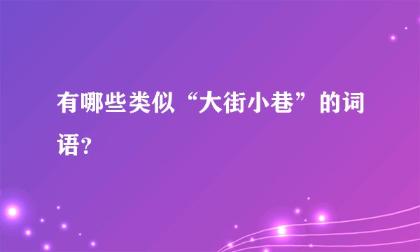有哪些类似“大街小巷”的词语？