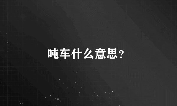 吨车什么意思？