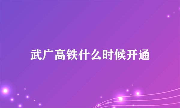 武广高铁什么时候开通