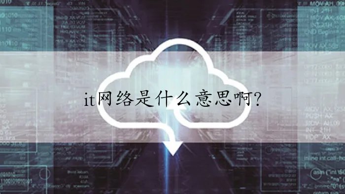 it网络是什么意思啊？