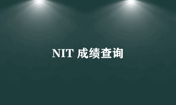 NIT 成绩查询