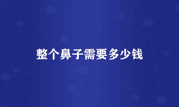 整个鼻子需要多少钱