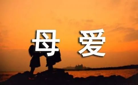 感恩母爱作文