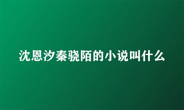 沈恩汐秦骁陌的小说叫什么