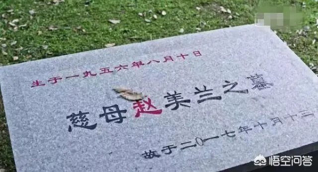 《都挺好》都有哪些穿帮镜头?