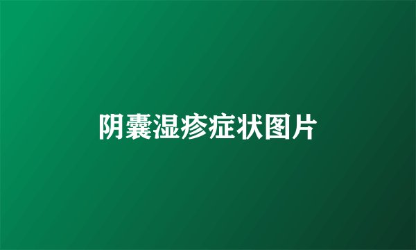 阴囊湿疹症状图片