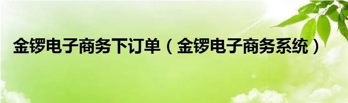 金锣电子商务下订单（金锣电子商务系统）