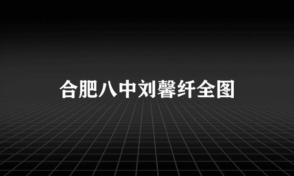 合肥八中刘馨纤全图