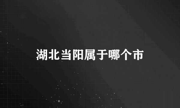 湖北当阳属于哪个市