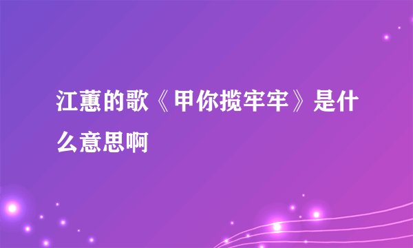 江蕙的歌《甲你揽牢牢》是什么意思啊