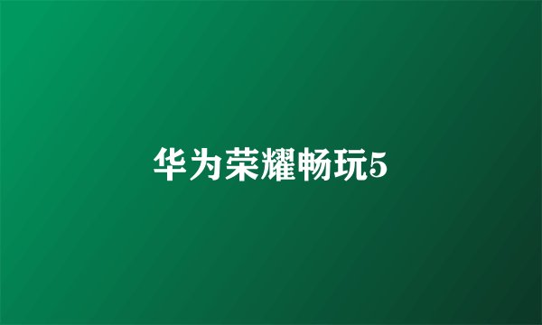 华为荣耀畅玩5