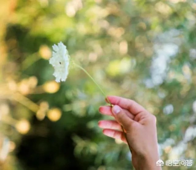 如何做一个知性优雅的女子？