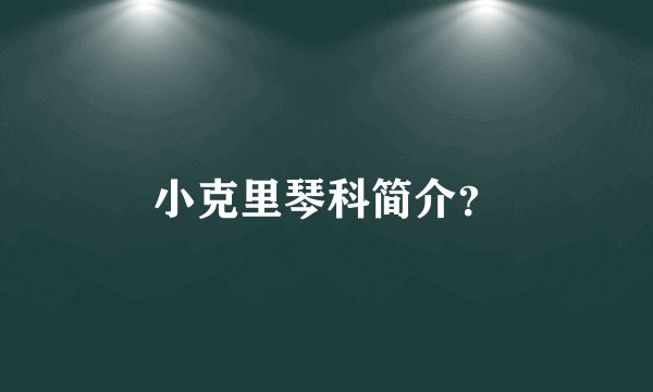 小克里琴科简介？