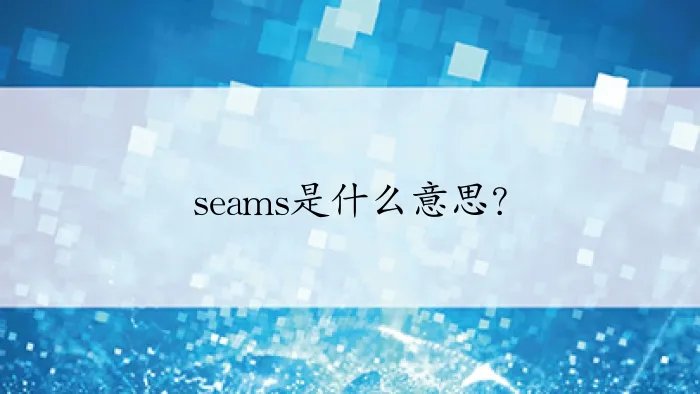seams是什么意思？