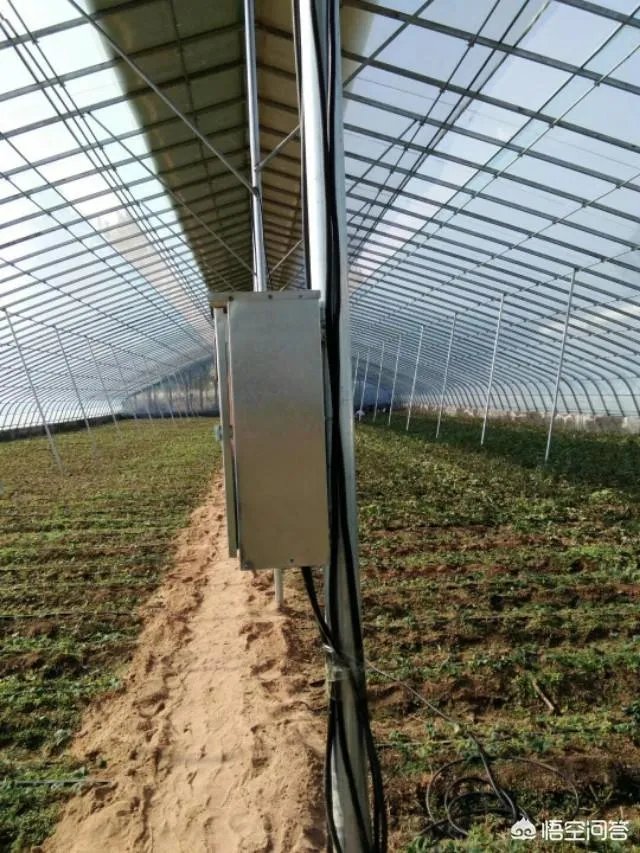 蔬菜大棚和蔬菜温室的区别是什么?