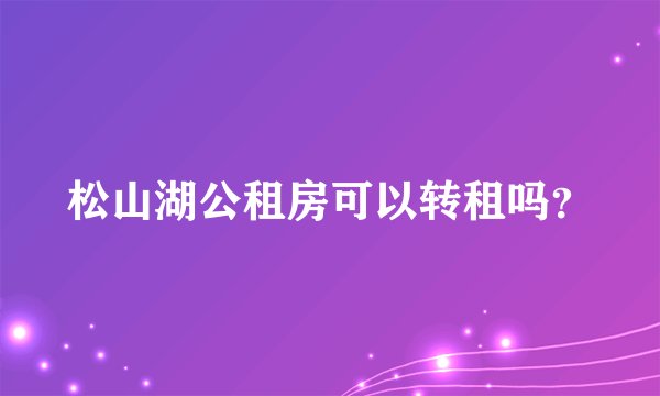 松山湖公租房可以转租吗？