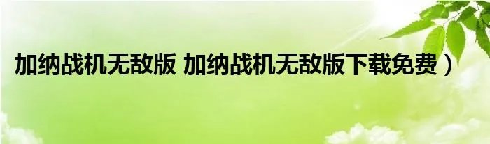 加纳战机无敌版 加纳战机无敌版下载免费）