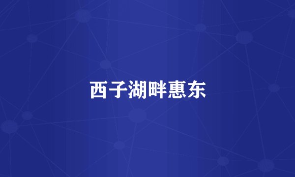 西子湖畔惠东
