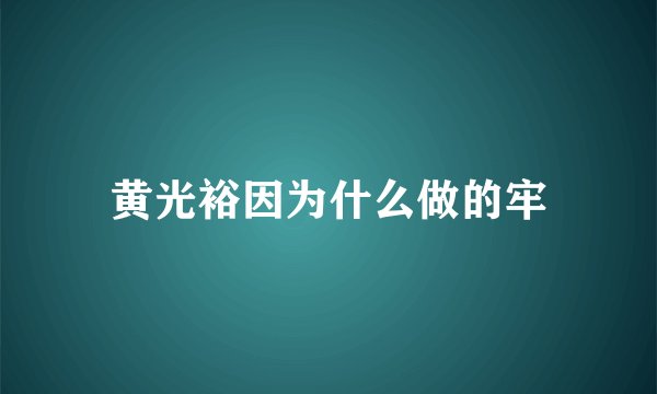 黄光裕因为什么做的牢
