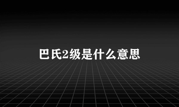 巴氏2级是什么意思