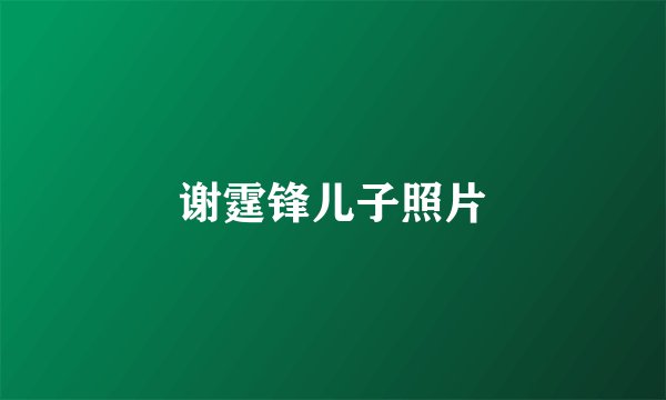 谢霆锋儿子照片