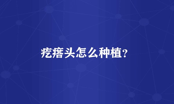 疙瘩头怎么种植？