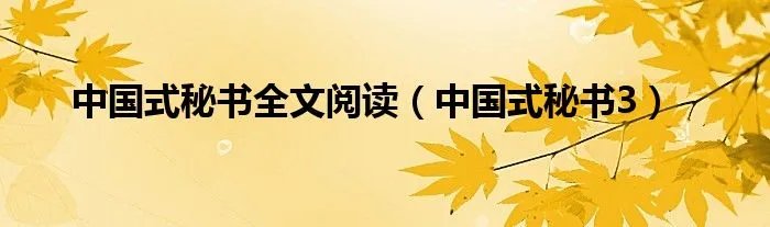 中国式秘书全文阅读（中国式秘书3）