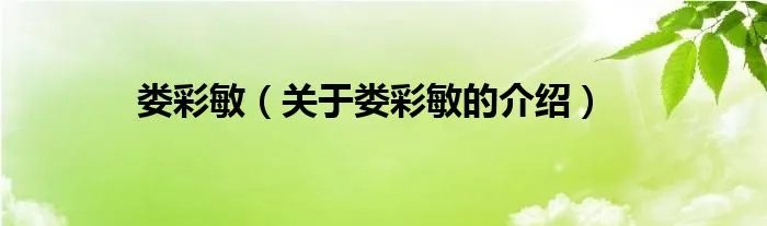 娄彩敏（关于娄彩敏的介绍）