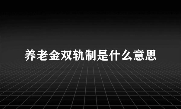 养老金双轨制是什么意思