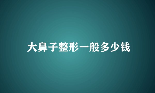 大鼻子整形一般多少钱