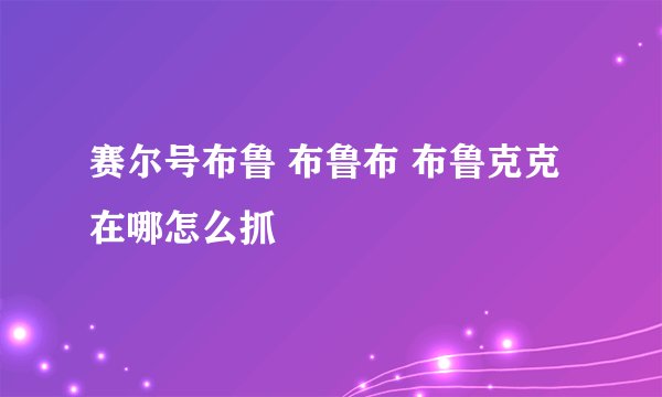 赛尔号布鲁 布鲁布 布鲁克克在哪怎么抓